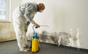 Mold Odor Removal Services in Decatur, IL